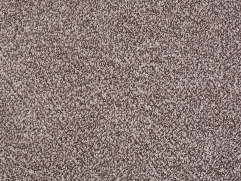 Biscuit Carpet and Underlay